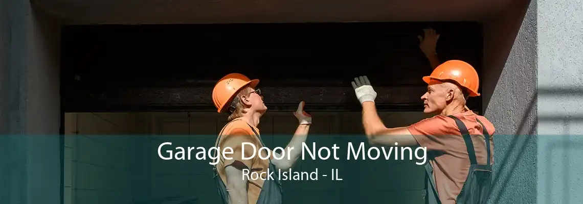 Garage Door Not Moving Rock Island - IL